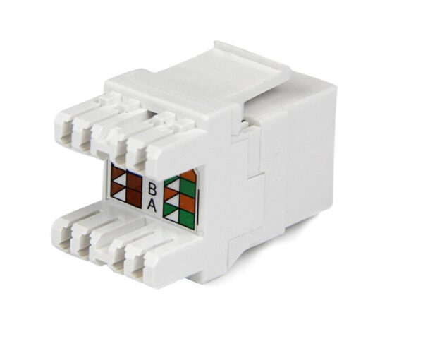 StarTech.com 180° Cat6 Contactbus RJ45 Ethernet Cat6 Wandcontactbus Wit Type 110 - Afbeelding 3