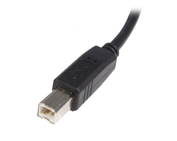 StarTech.com 5m USB 2.0 A naar B Kabel M/M - Afbeelding 3