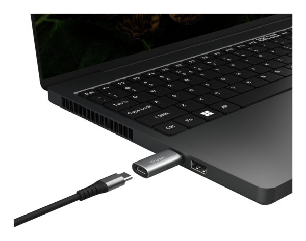 Trust Calyx USB Type-C USB Type-A Grijs - Afbeelding 3