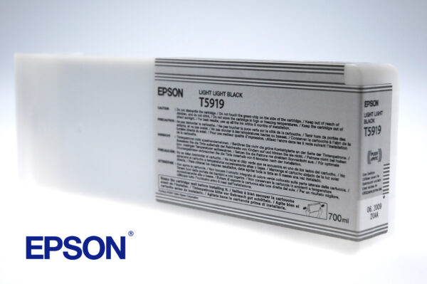 Epson inktpatroon Light Light Black T591900