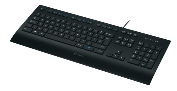 Logitech K280E Pro f/ Business toetsenbord Kantoor USB QWERTY US International Zwart - Afbeelding 2