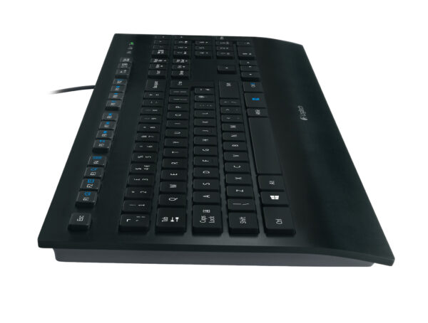 Logitech K280E Pro f/ Business toetsenbord Kantoor USB QWERTY US International Zwart - Afbeelding 3