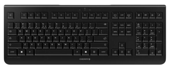 CHERRY KW 3000 toetsenbord Universeel RF Draadloos QWERTY US International Zwart