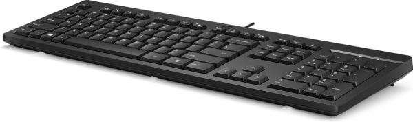 HP 125 USB WD KBD (bulk 12) - Afbeelding 3