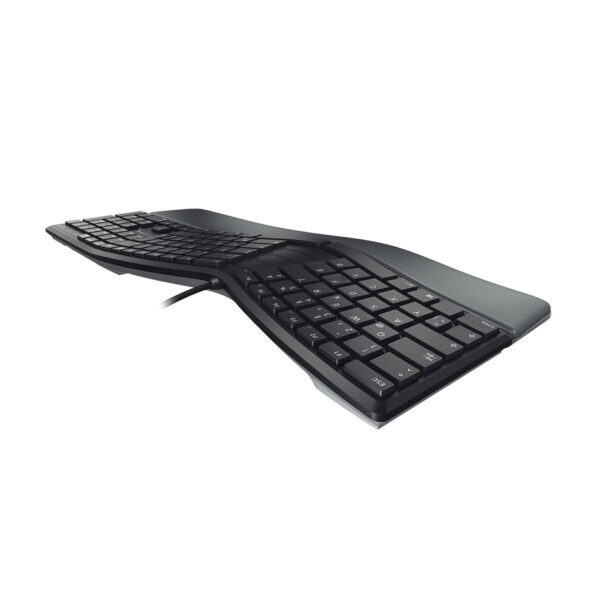 CHERRY KC 4500 ERGO toetsenbord Universeel USB QWERTY Amerikaans Engels Zwart - Afbeelding 5