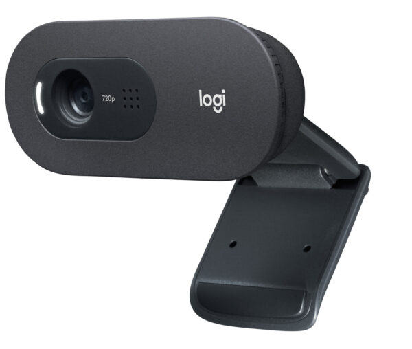 Logitech C505e webcam 1280 x 720 Pixels USB Zwart - Afbeelding 2